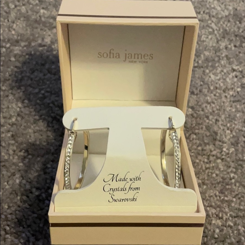 Sofia James Swarovski Crystal Hoops